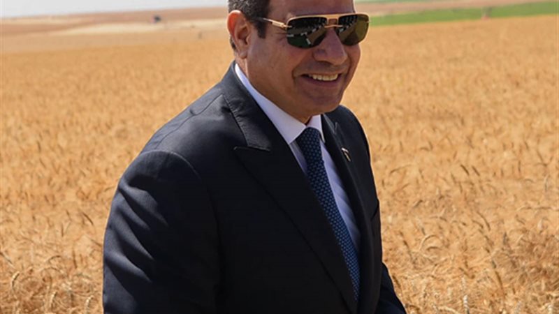 الرئيس عبد الفتاح