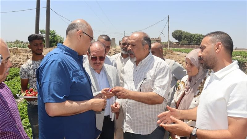 محافظ القليوبية خلال