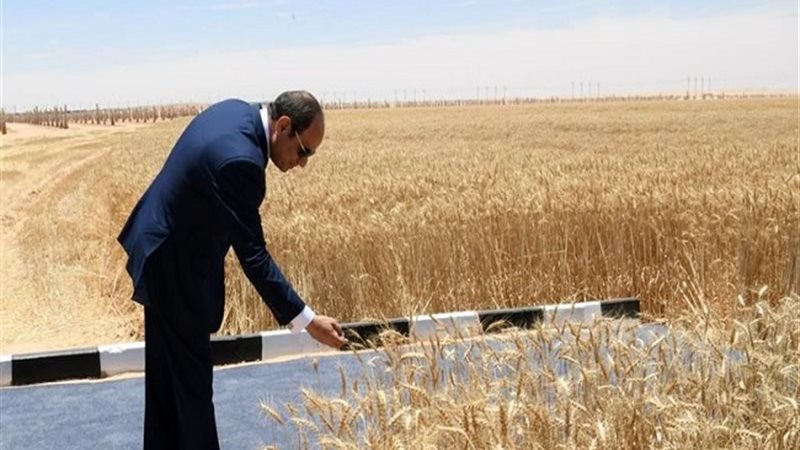 الرئيس عبد الفتاح