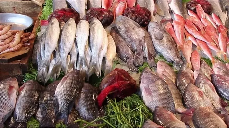 سعرالسمك اليوم