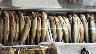 قبيل عيد الفطر، ضبط 1.2 طن رنجة فاسدة بالقليوبية