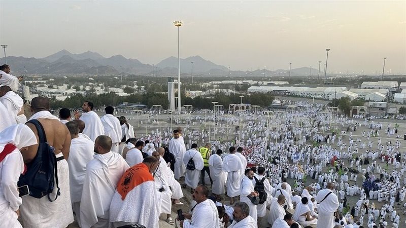 حجاج، فيتو