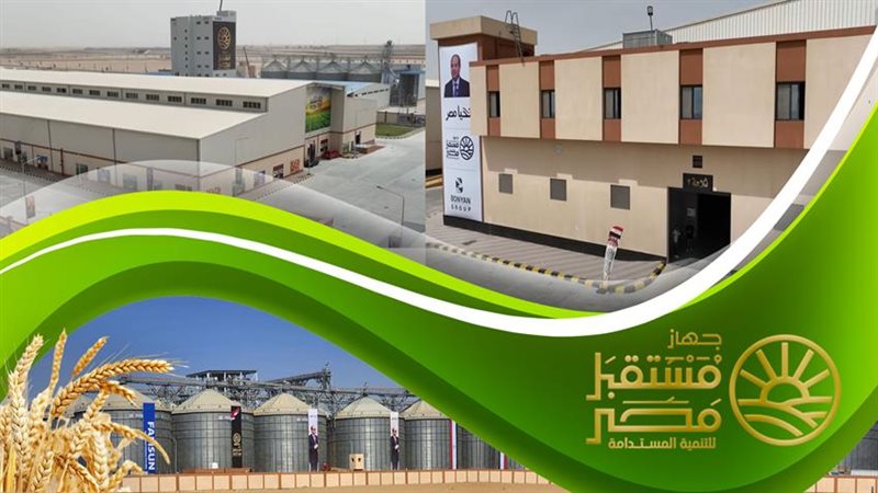المرحلة الأولى من