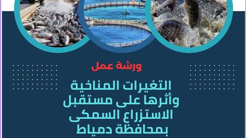 ورشة عمل علي التغيرات