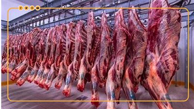 استعدادا لعيد الأضحى.. أسعار اللحوم الطازجة والمجمدة والضأن بالمجمعات الاستهلاكية (إنفوجراف)