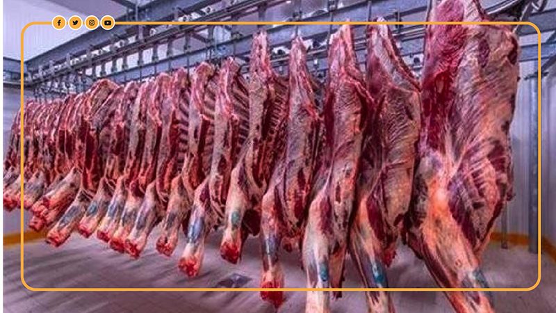 اللحوم بالمجمعات