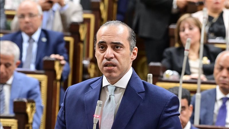 المستشار محمود فوزي