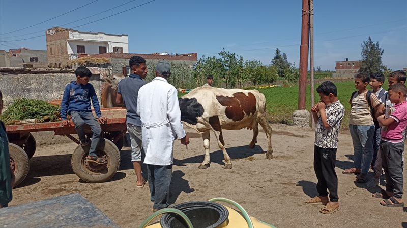 قافلة بيطرية