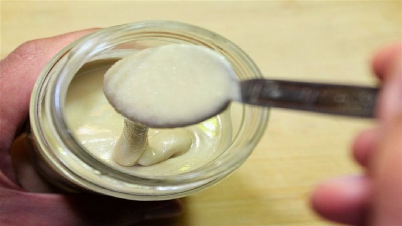 الطحينة 