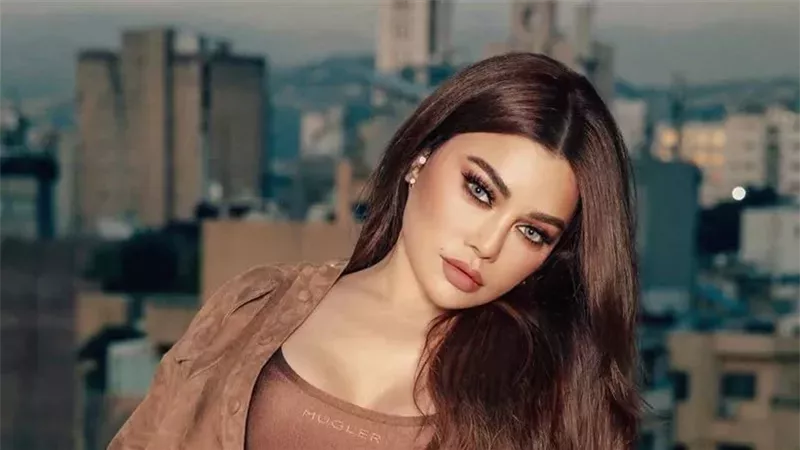 هيفاء وهبي، فيتو