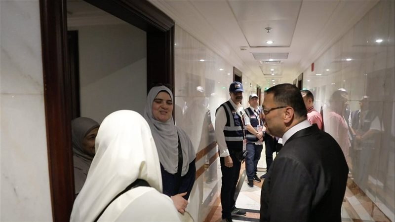 الرئيس التنفيذي لبعثة