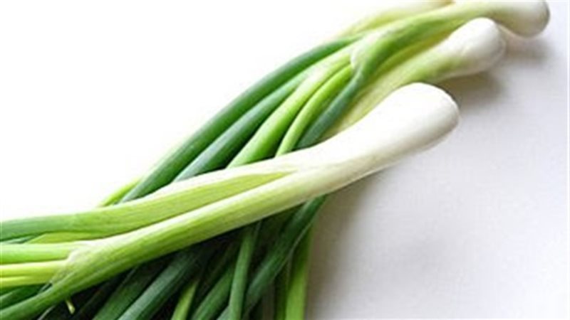 فوائد البصل الأخضر