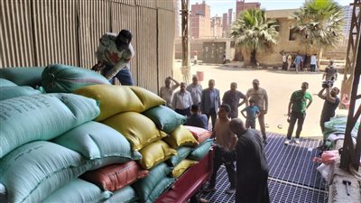  تموين الشرقية: ارتفاع الكميات الموردة من القمح إلى 584 ألف طن 