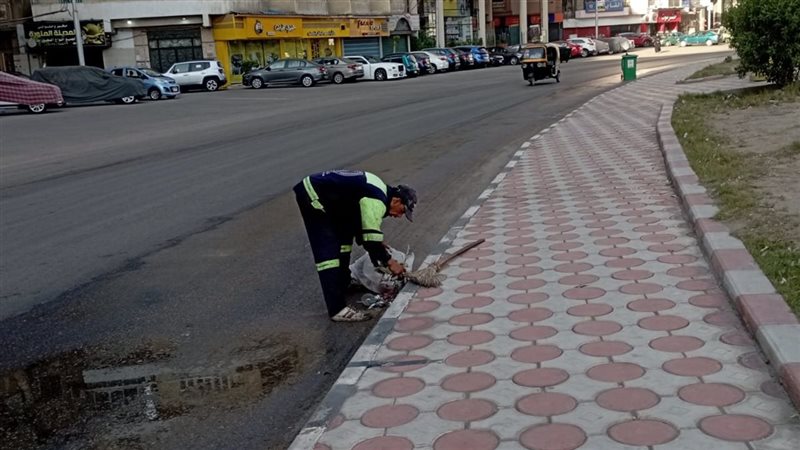 حملات نظافة بالدقهلية،