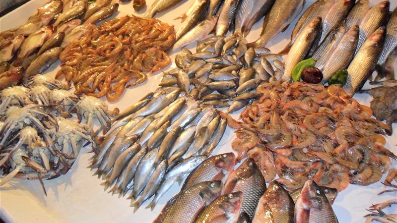 سعر السمك اليوم،فيتو