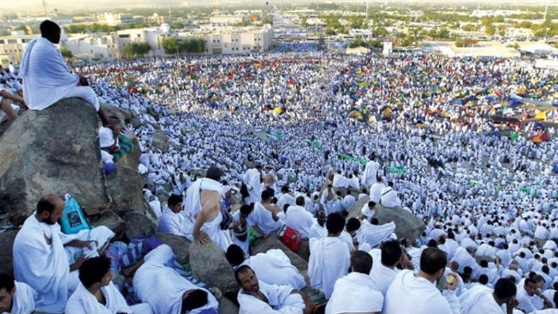 تصعيد الحجاج إلى