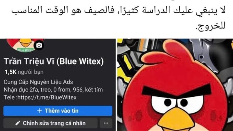 صفحة وزارة التربية
