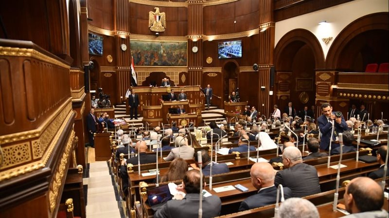 مجلس الشيوخ، فيتو