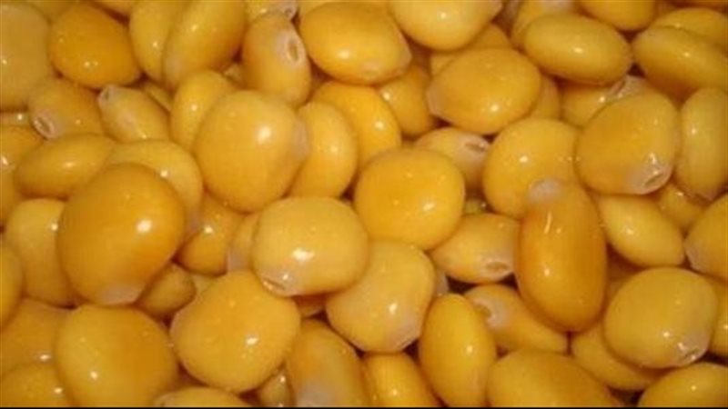 فوائد الترمس 