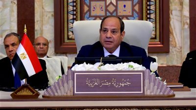 السيسي يؤكد ضرورة الوقف الفوري لإطلاق النار في غزة وإنفاذ المساعدات الإنسانية