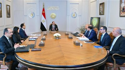 الحكومة تستعرض أمام السيسي الفرص الاستثمارية في شركات قطاع الأعمال وخطة هيكلة العمالة