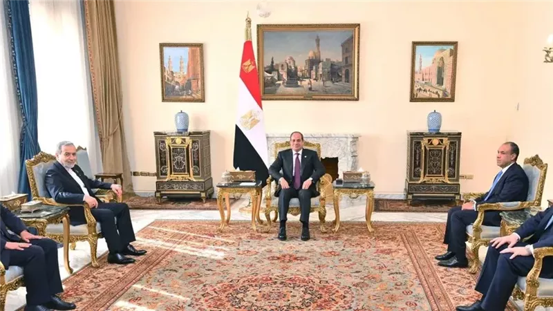 رئيس الوزراء يستقبل