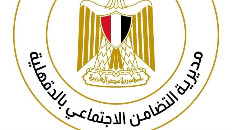 تضامن الدقهلية، فيتو