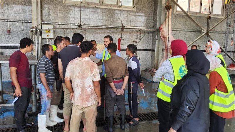 مياة القليوبية،فيتو