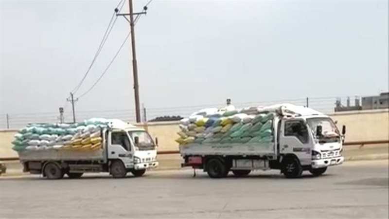 تدفق الأقماح المحلية