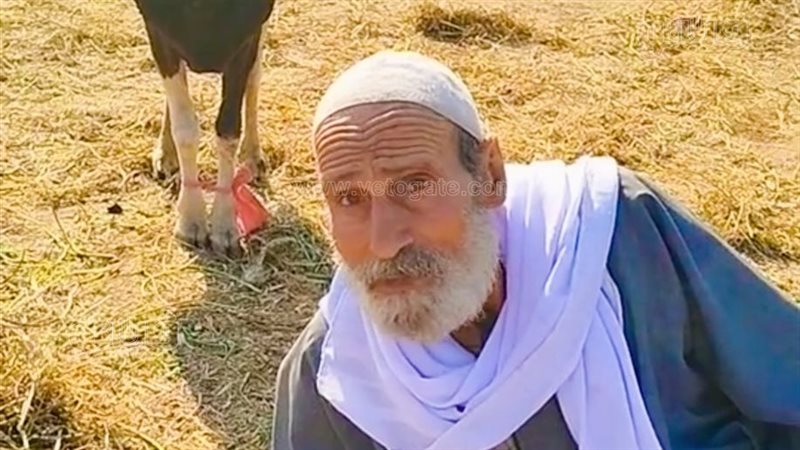 شيخ تجار الغربية،