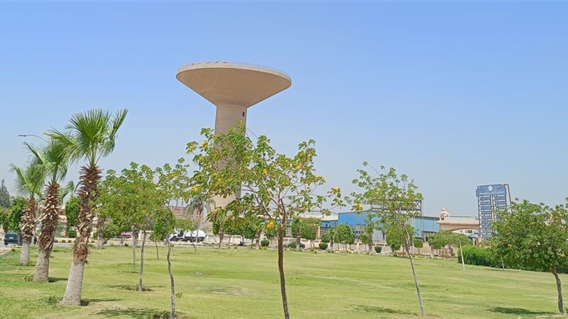 مسطحات خضراء، فيتو