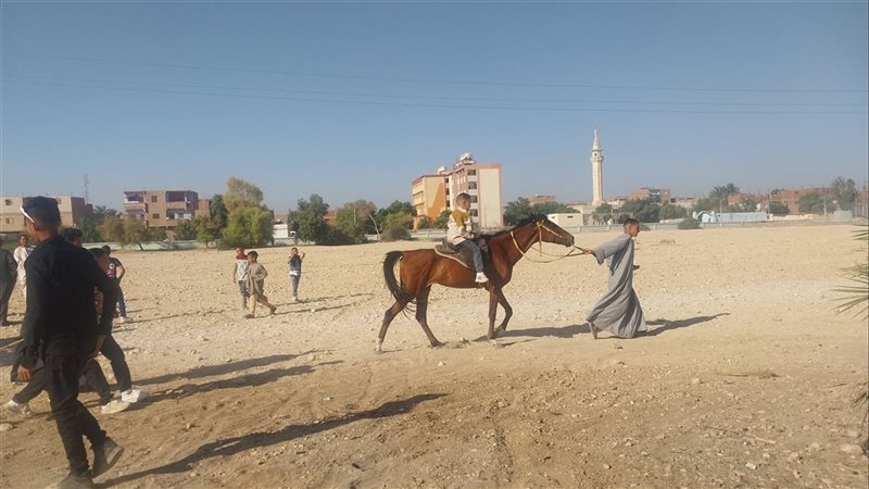 ركوب الخيل