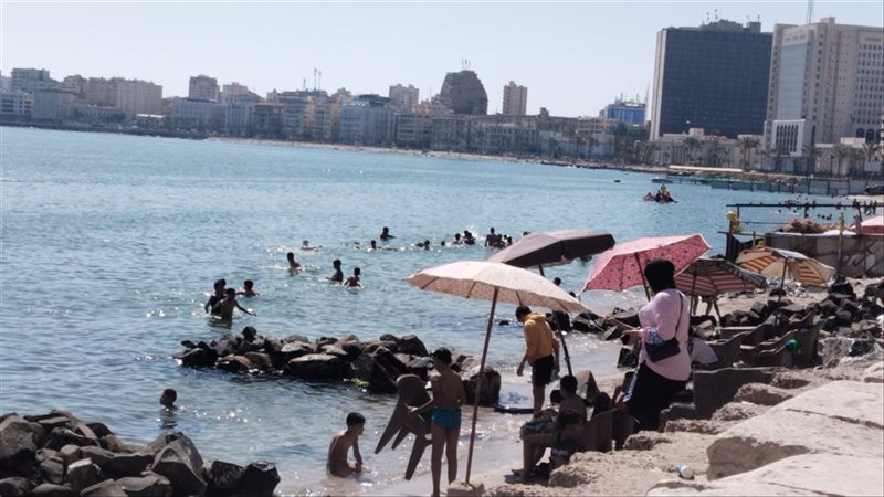 الإسكندرية