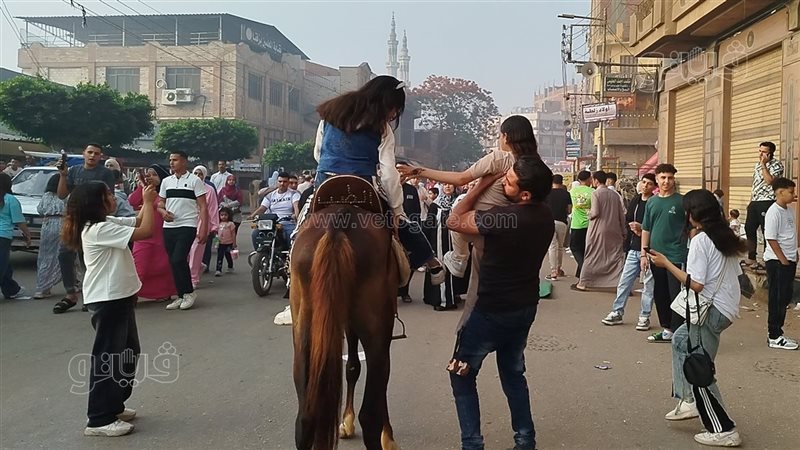  احتفالات المواطنين
