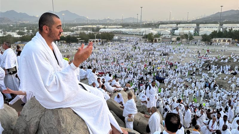 حجاج، فيتو