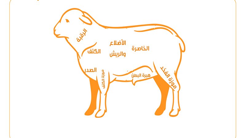 أجزاء الأضحية