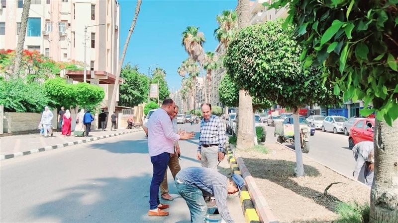 حملات نظافة بالدقهلية،