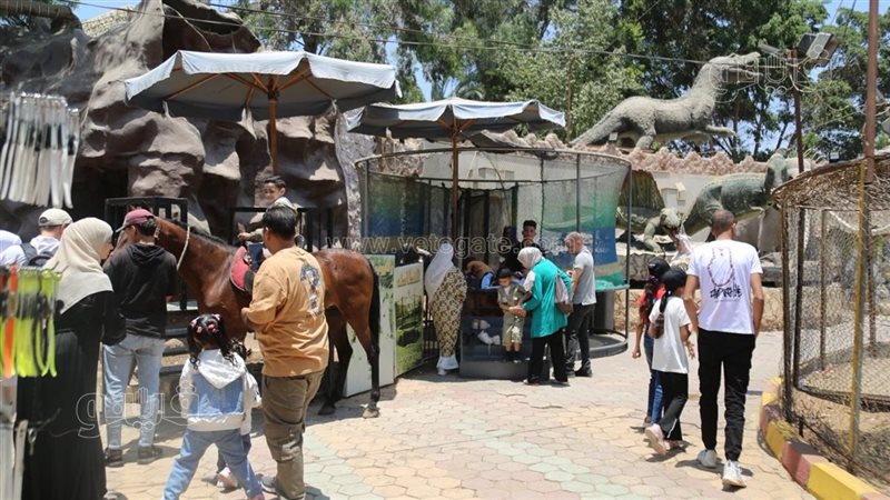 حديقة الحيوان بالحديقة