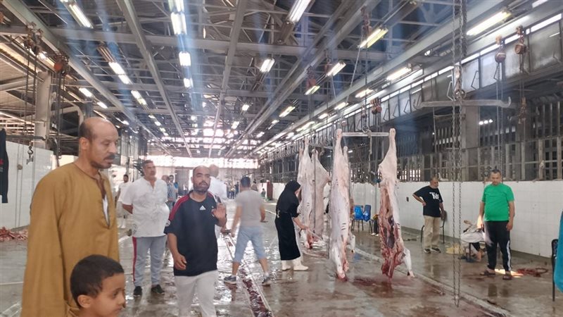 المحاور الحكومية
