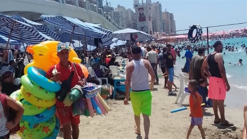 الاسكندريه 