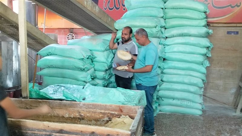 الاسكندريه 