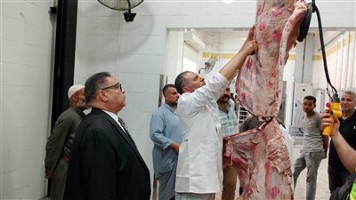 محافظ الدقهلية: المجازر الحكومية تواصل أعمال الكشف وذبح الأضاحي على مدار اليوم وغرامات رادعة للمخالفين 