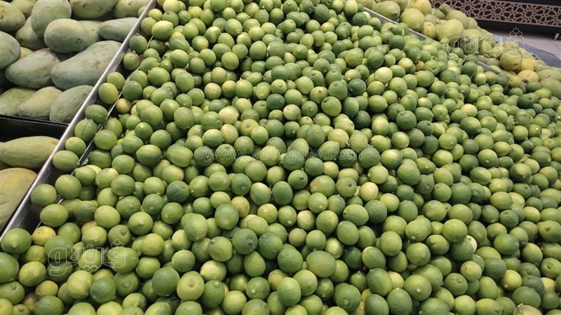 سعر الليمون اليوم