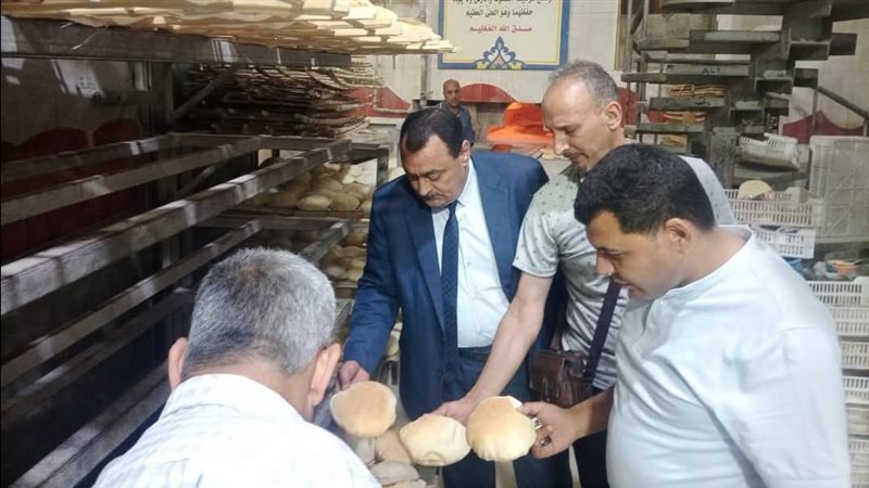  مخالفة تموينية في