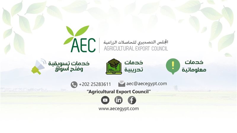 المجلس التصديري للحاصلات
