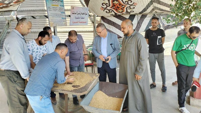 توريد القمح بالدقهلية،
