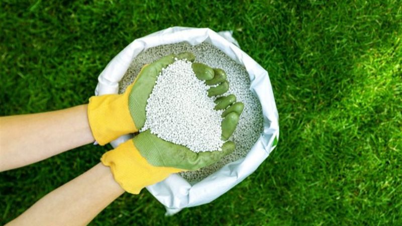 أسعار الأسمدة اليوم،