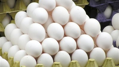 تفسير رؤية البيض في المنام وعلاقتها بالرزق الكثير والبركة في المال 
