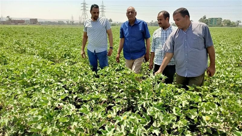 زراعة أسيوط تتفقد