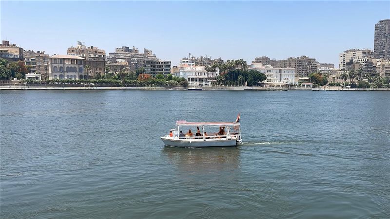 حالة الطقس غدا، فيتو